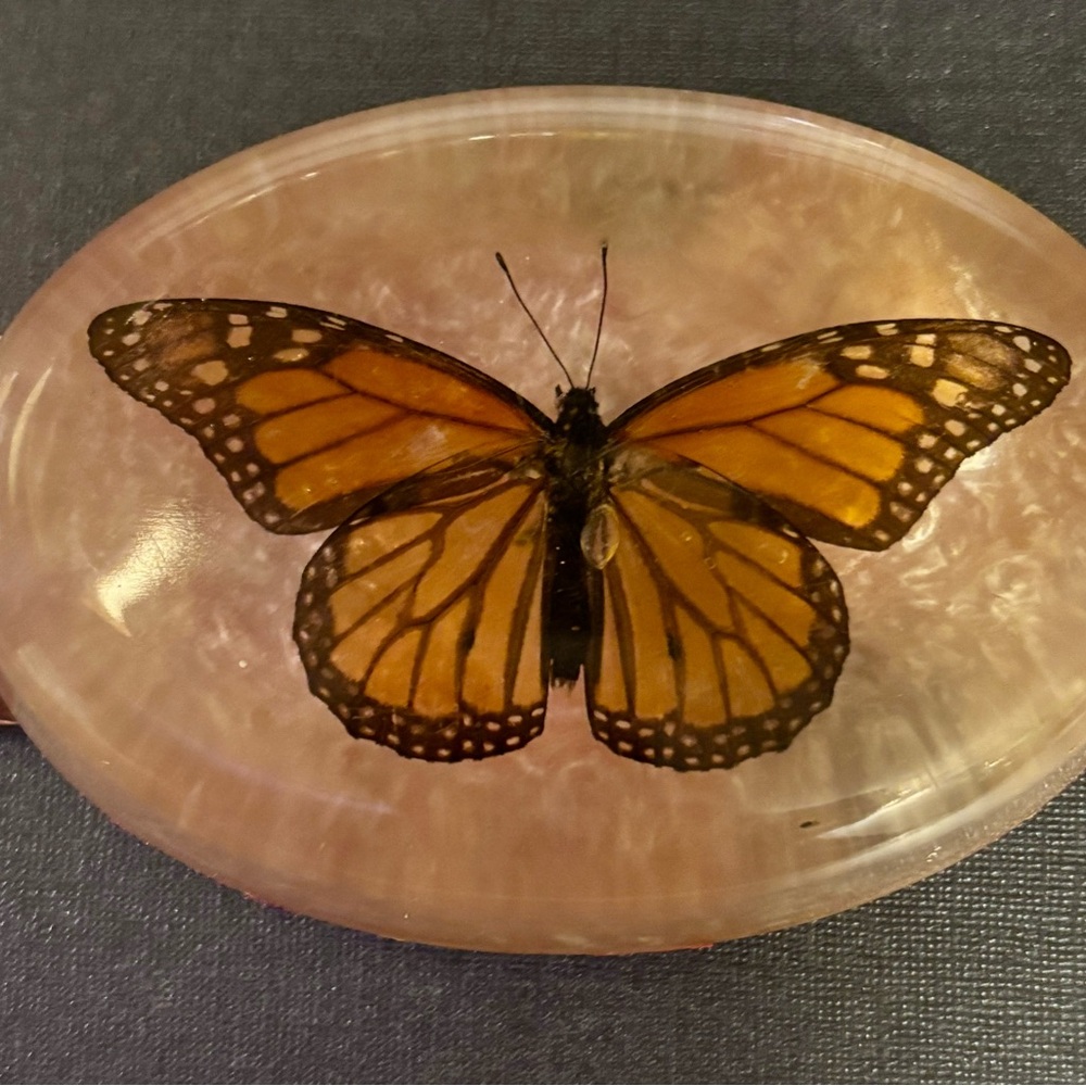 Handcrafted Amber and Cream Monarch Butterfly Paperweight